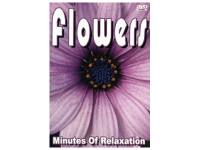 DVD Doku - Flowers Minutes of Re...